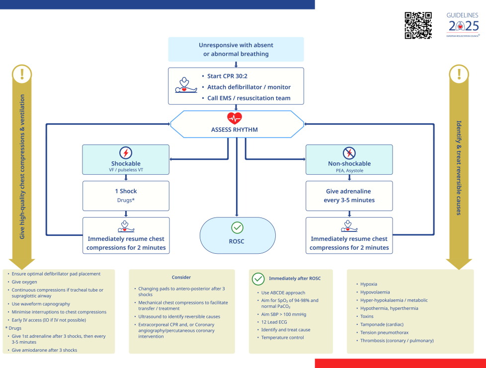ERC 2025 ALS-algoritmi